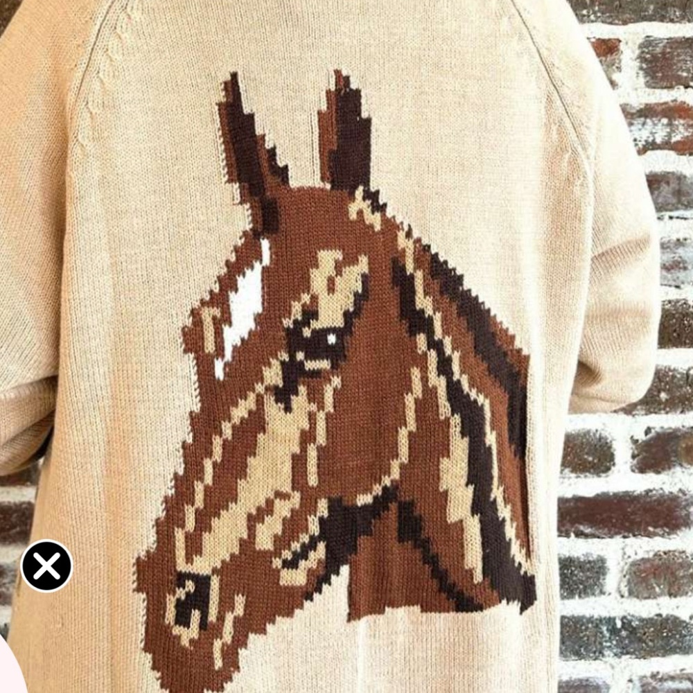 Brown Horse Graphic Sweater